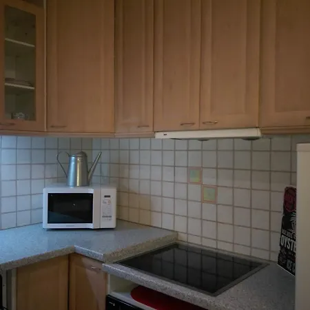 Court Garden Apartment Brno